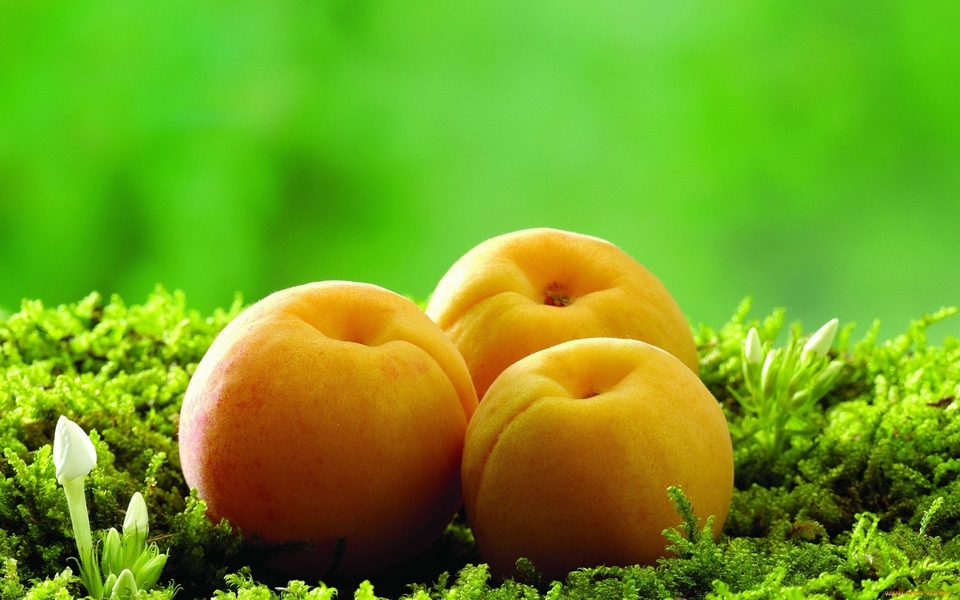 水果图片大全清晰 Cg-4WVVxR9CIdw70AAZHPrJggZoAAEsbQPi4L4ABkdW752.jpg