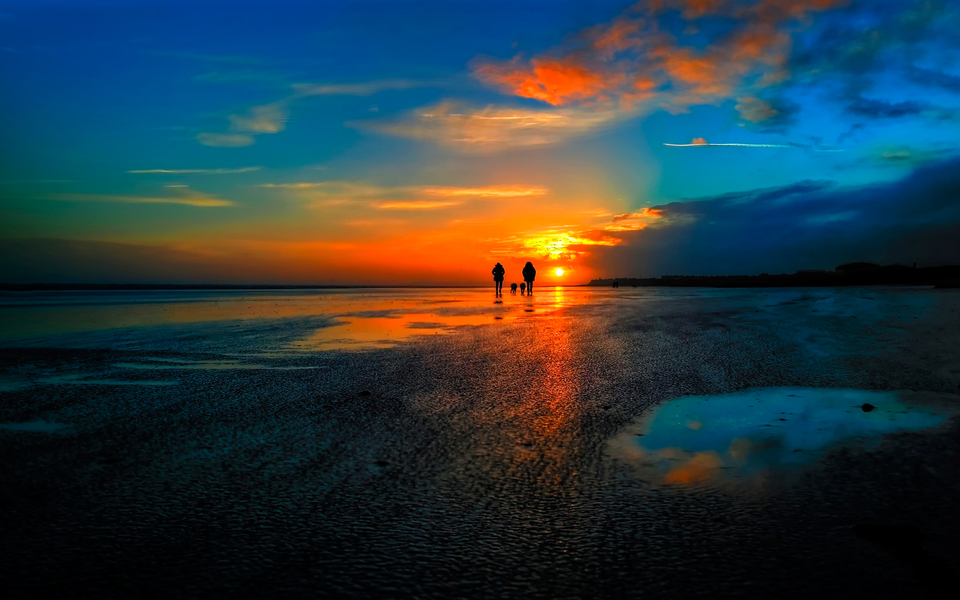 玫瑰花风景壁纸桌面_图片素材