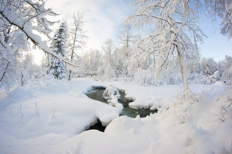 安卓景色 自然 雪景 唯美手机壁纸