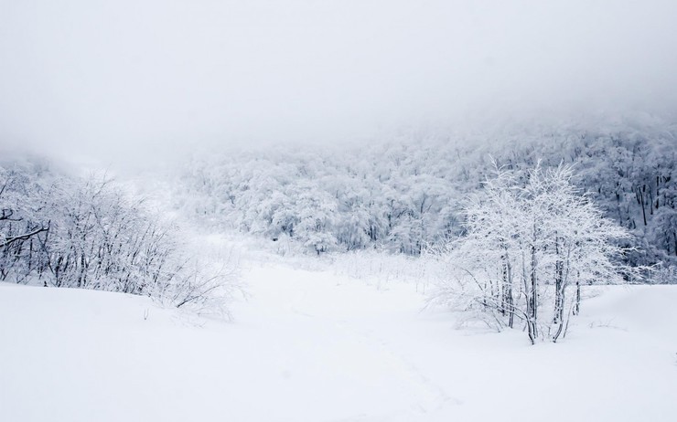 安卓冰天雪地 高清 景色手机壁纸