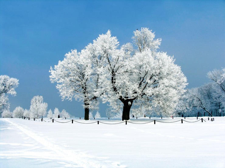 手机壁纸 壁纸详情  扫描二维码下载 壁纸标签 冰天雪地高清景色打开