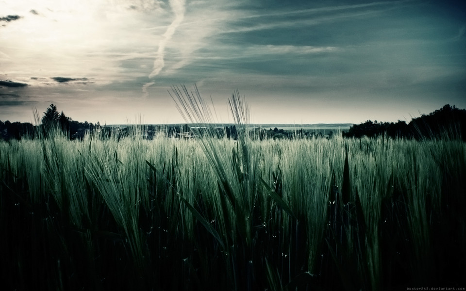 暗色调风景随拍高清桌面壁纸 第13页-ZOL桌面壁纸