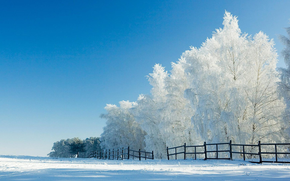 冬季清新唯美雪景桌面壁纸