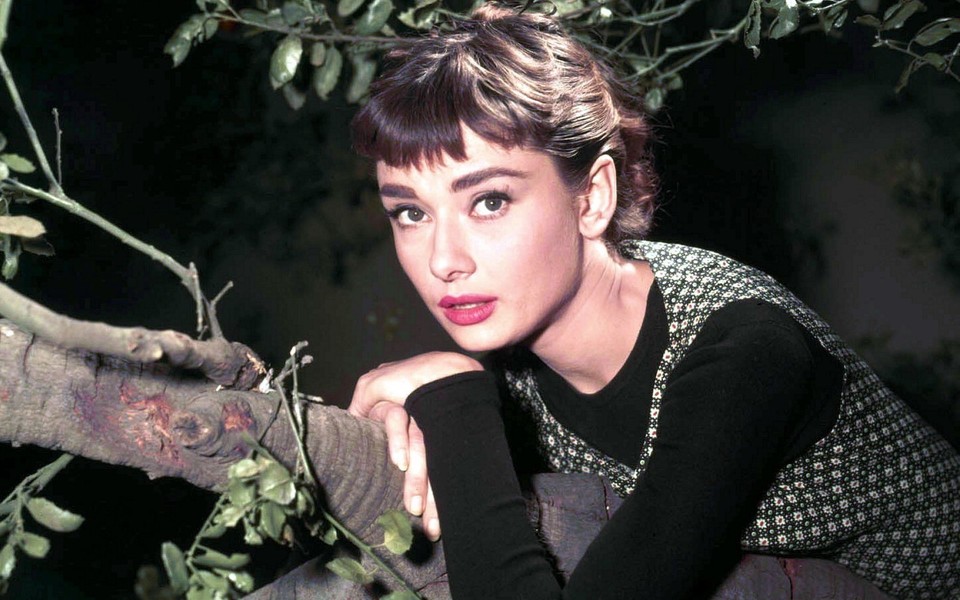 奥黛丽·赫本Audrey Hepburn美女桌面壁纸 第
