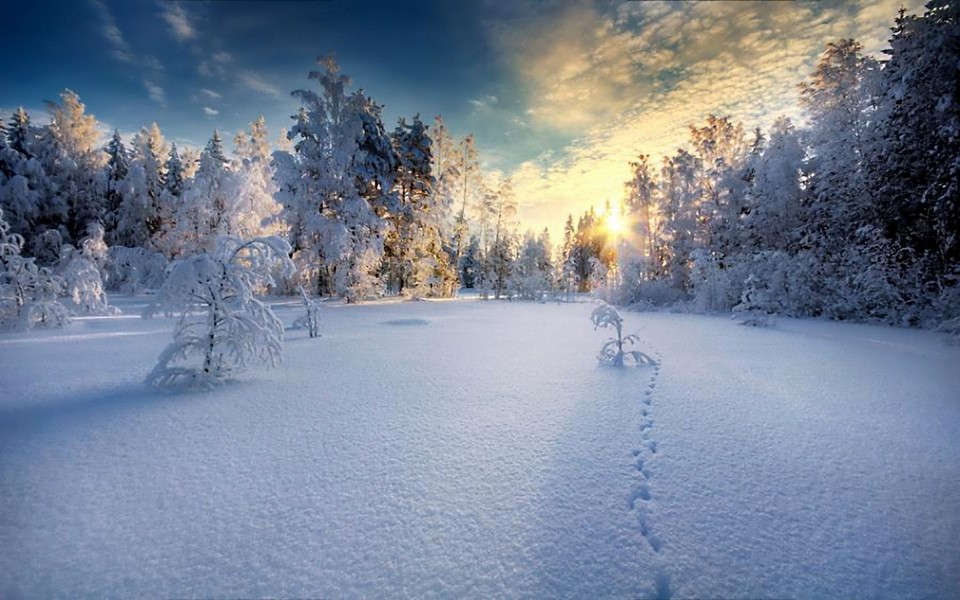 自然唯美的雪景壁纸大全-ZOL桌面壁纸