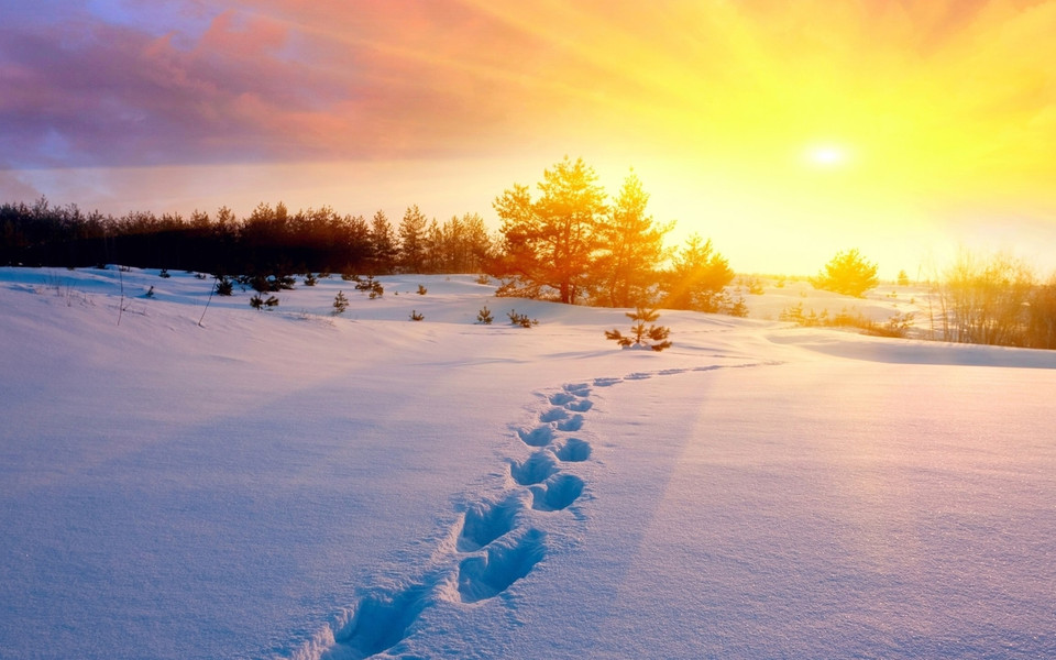 唯美雪景桌面壁纸