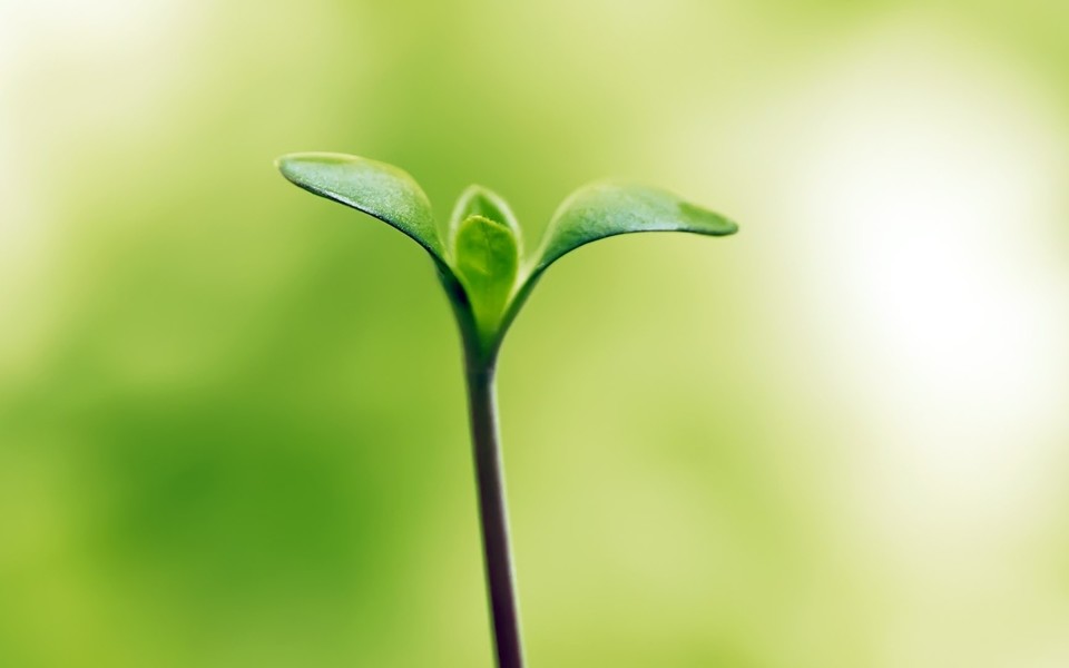 清新大自然健康护眼宽屏壁纸 第18页-ZOL桌面